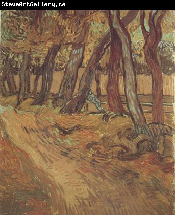Vincent Van Gogh The Garden of Saint-Paul Hospital with Figure (nn04)